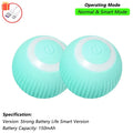 Smart Rolling Cat Ball™ – Rechargeable Interactive Pet Toy